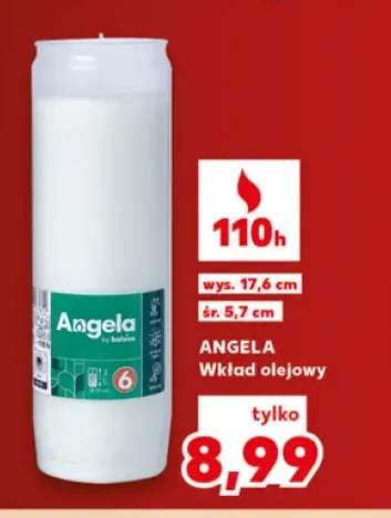 Wkład olejowy Angela