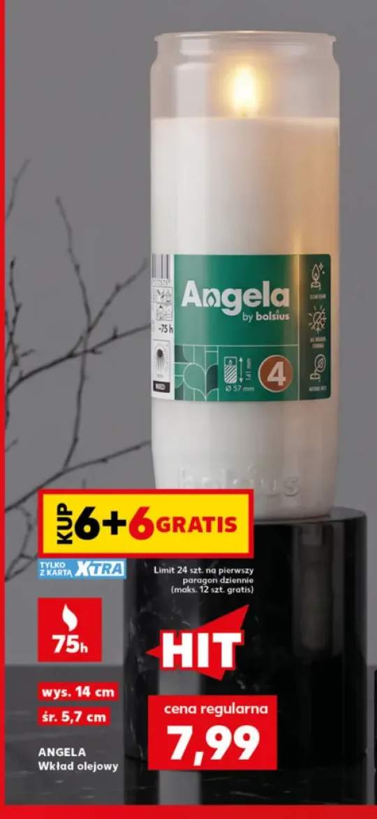 Wkład olejowy Angela