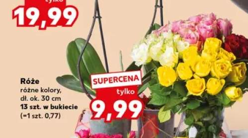 Róże dł. ok. 30 cm