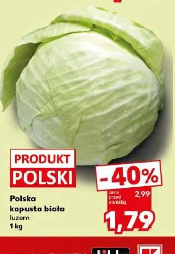 Kapusta biała polska