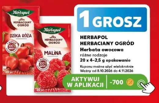 Herbata owocowa malina Herbapol Herbaciany Ogród +1 wariant