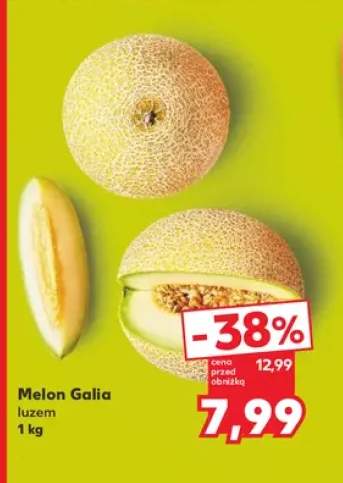 Melon Galia