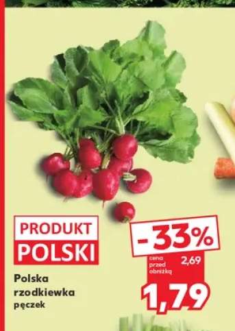 Rzodkiewka polska