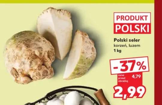 Seler korzeń polski