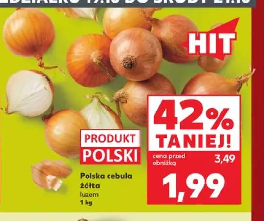 Cebula żółta polska