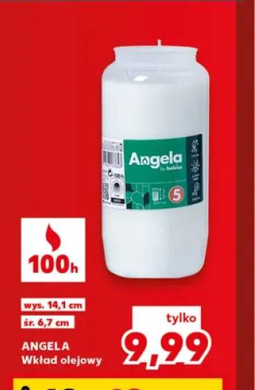 Wkład olejowy Angela 100h