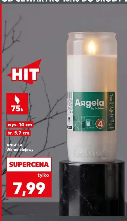Wkład olejowy Angela