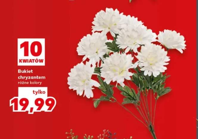 Bukiet chryzantem 10 kwiatów
