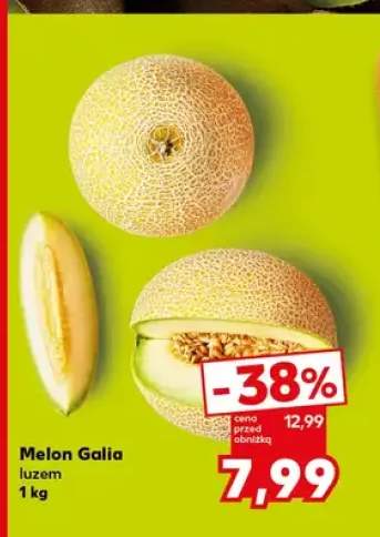 Melon Galia