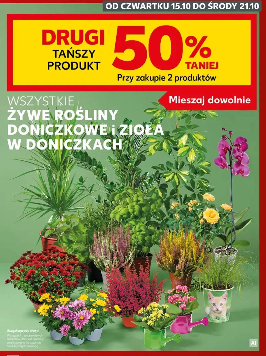 Żywe rośliny doniczkowe i zioła w doniczkach