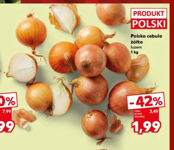 Cebula żółta polska