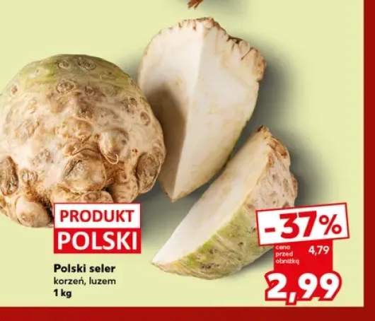 Seler korzeń polski