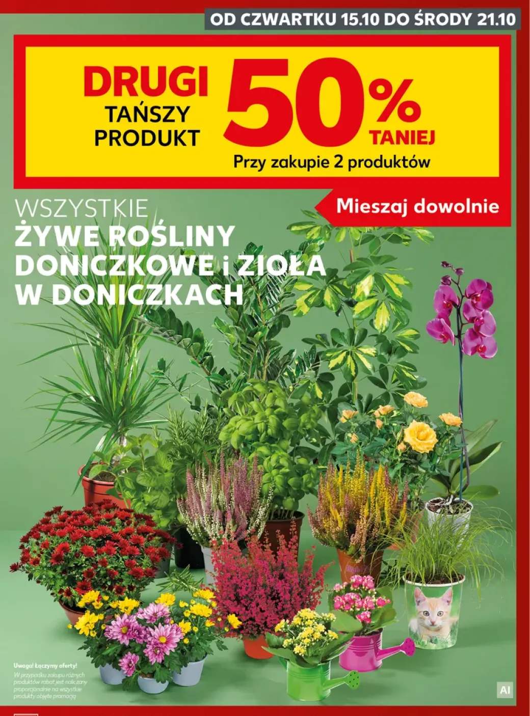 Żywe rośliny doniczkowe i zioła w doniczkach