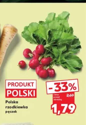 Polska rzodkiewka