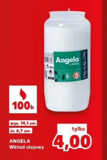 Wkład olejowy Angela