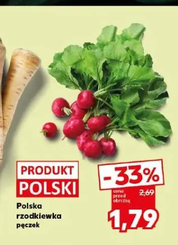 Rzodkiewka polska