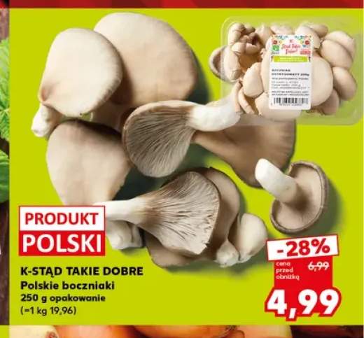 Boczniaki polskie K-Stąd Takie Dobre