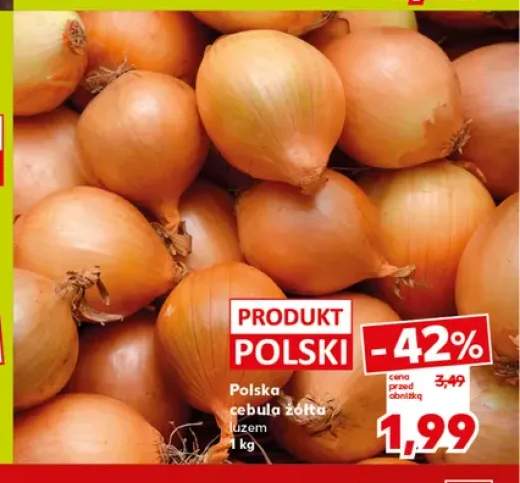Cebula żółta polska