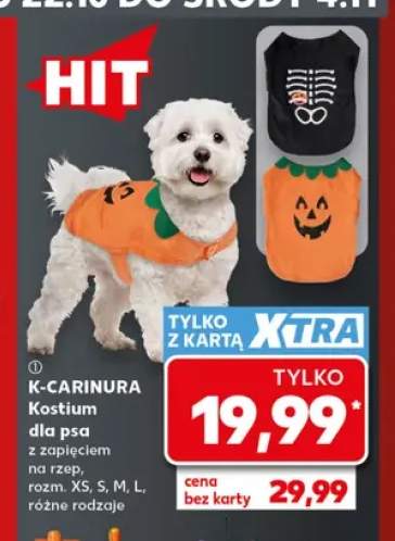 Kostium dla psa z zapięciem na rzep K-Carinura