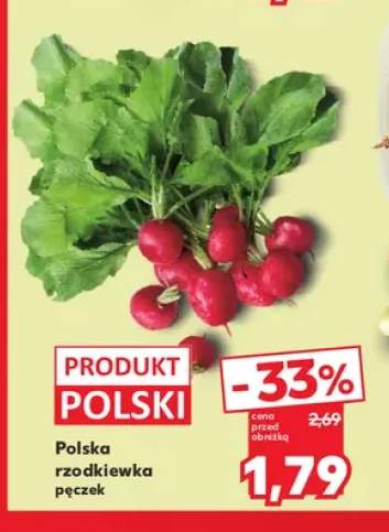 Rzodkiewka polska