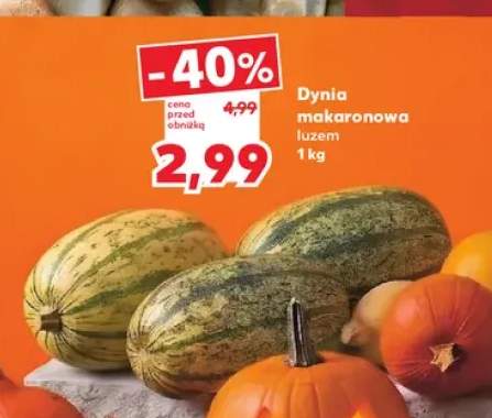 Dynia makaronowa