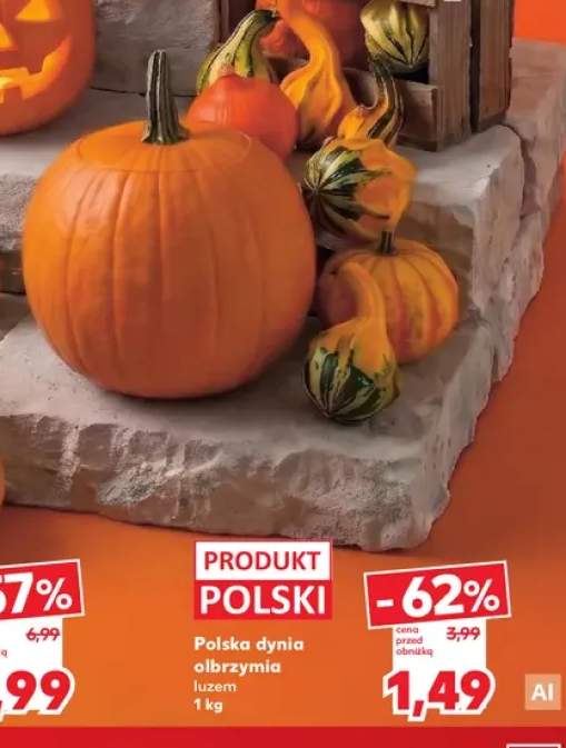 Dynia olbrzymia polska