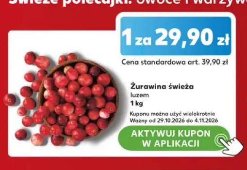 Żurawina świeża