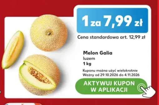 Melon Galia