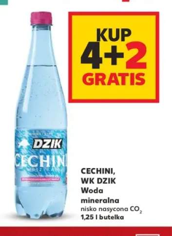 Woda mineralna gazowana nisko nasycona CO2 Cechini WK Dzik