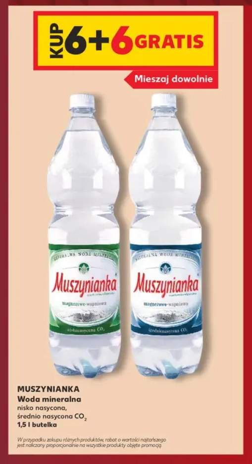 Woda mineralna gazowana nisko nasycona Muszynianka +1 wariant