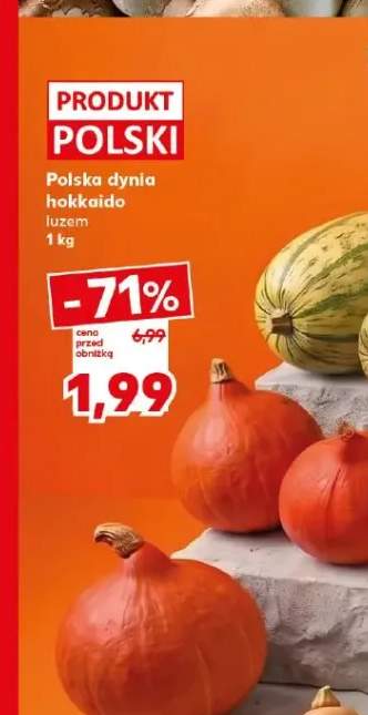 Dynia hokkaido polska