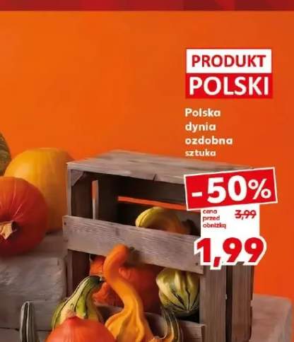Dynia ozdobna polska