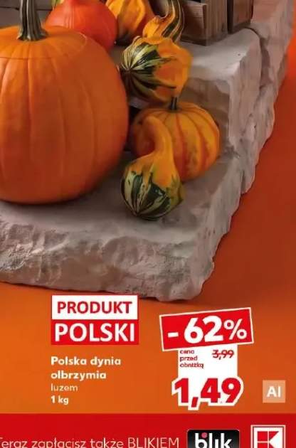 Dynia olbrzymia polska