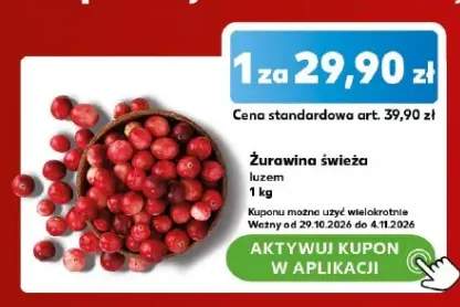 Żurawina świeża
