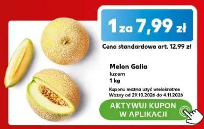 Melon Galia