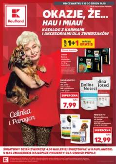 Okładka gazetki Kaufland