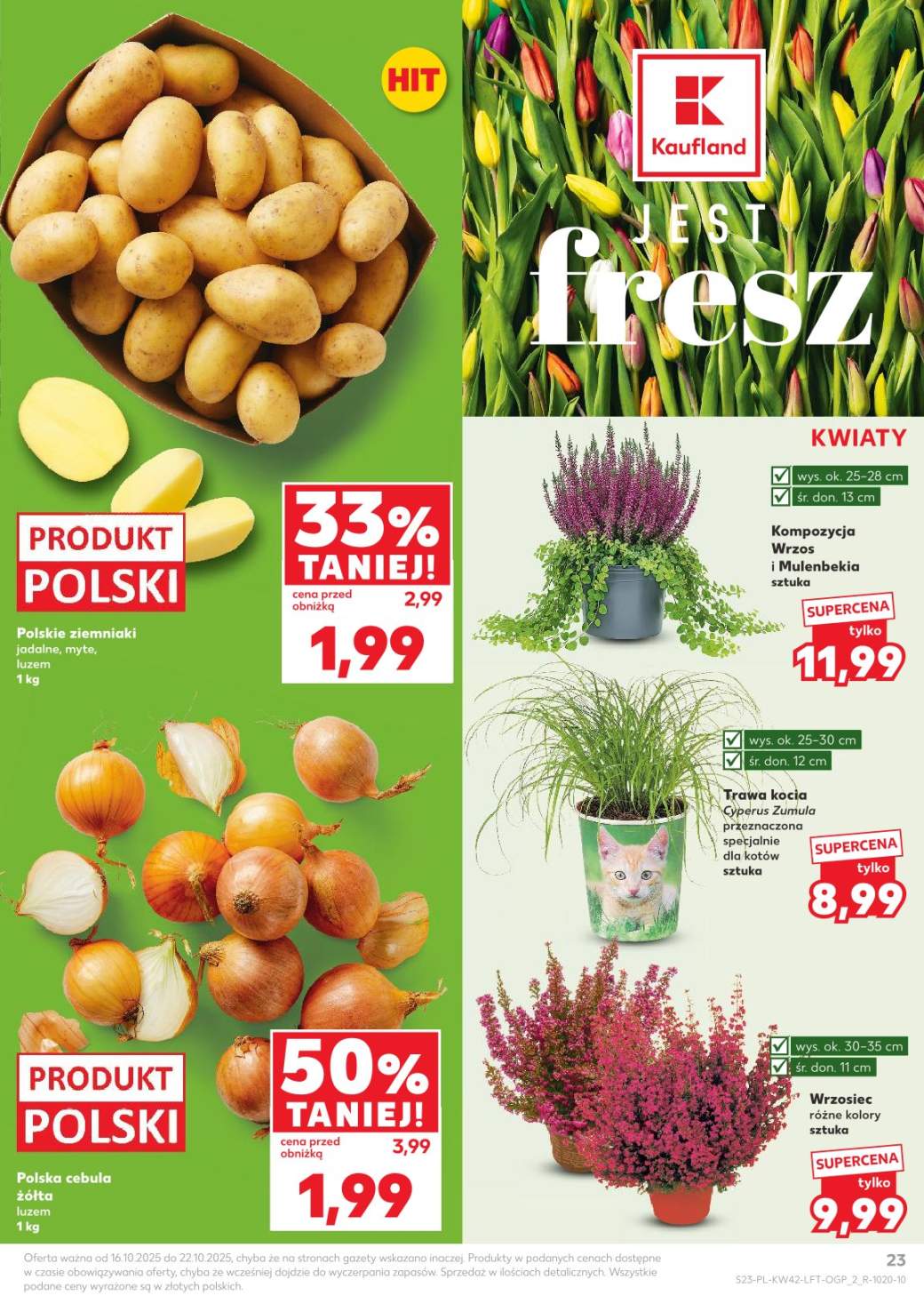 Okładka gazetki