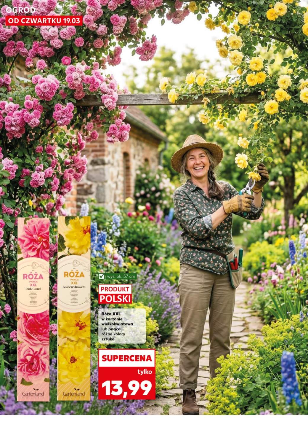 Gazetka – strona 12