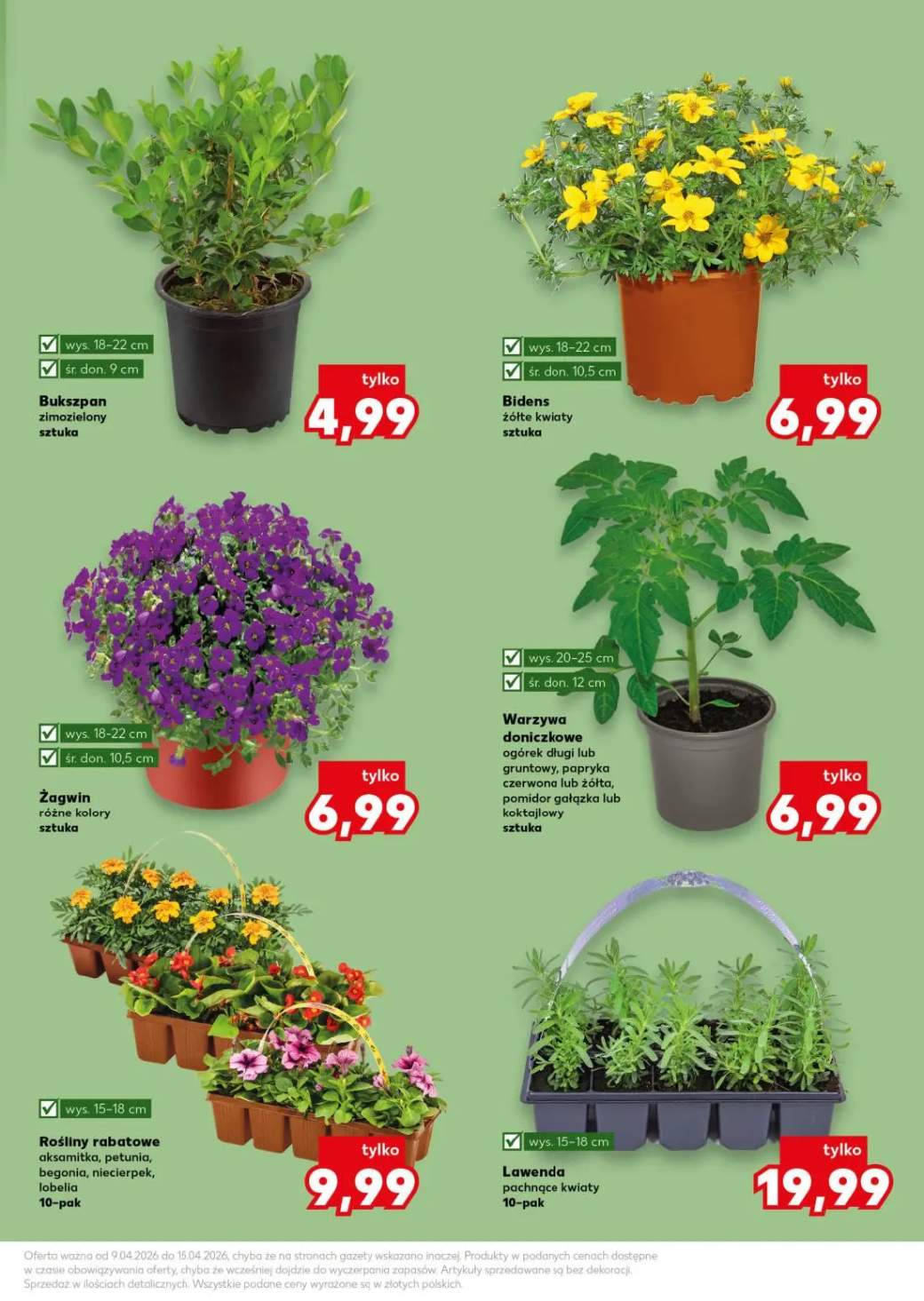 Gazetka – strona 11