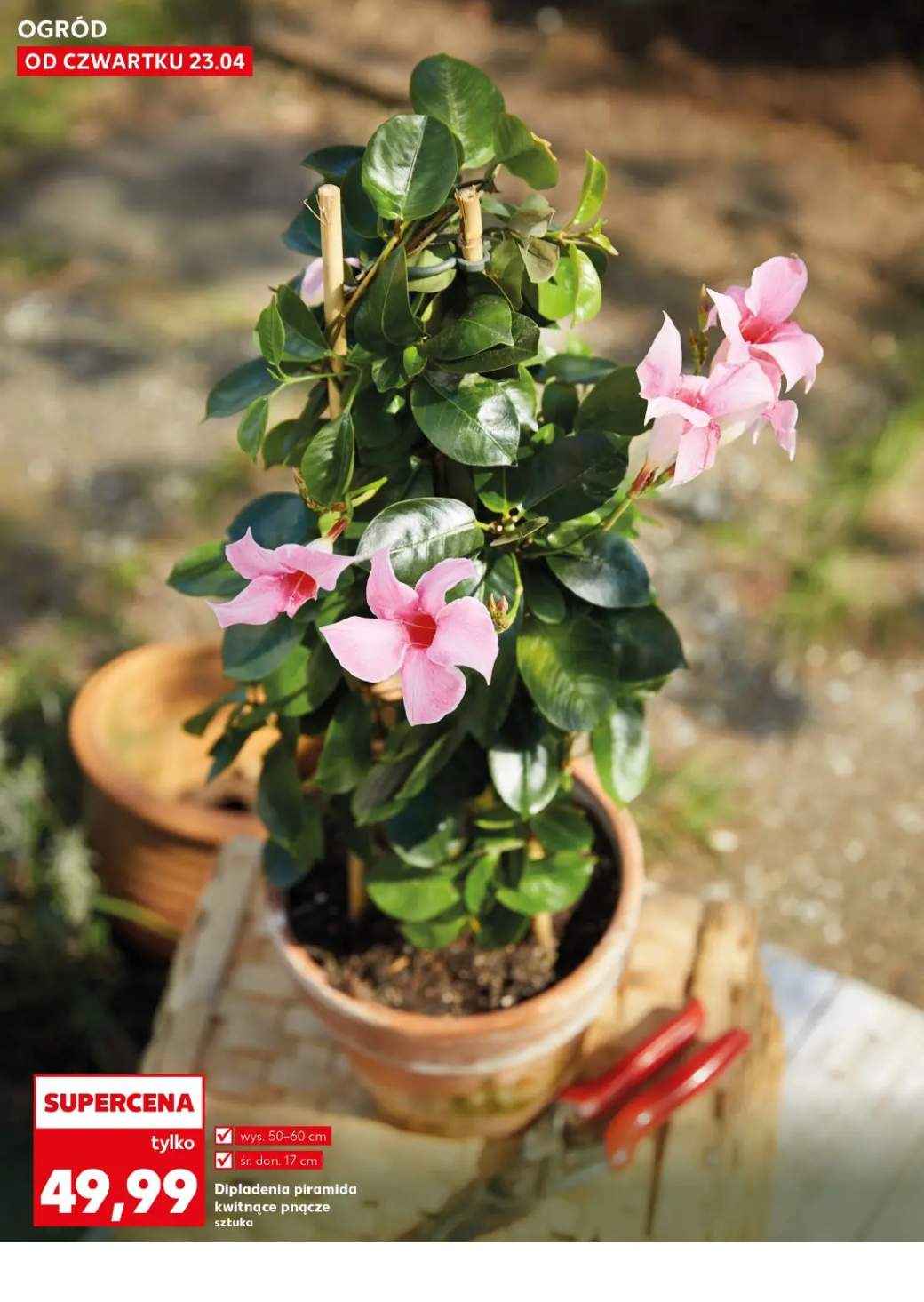 Gazetka – strona 10