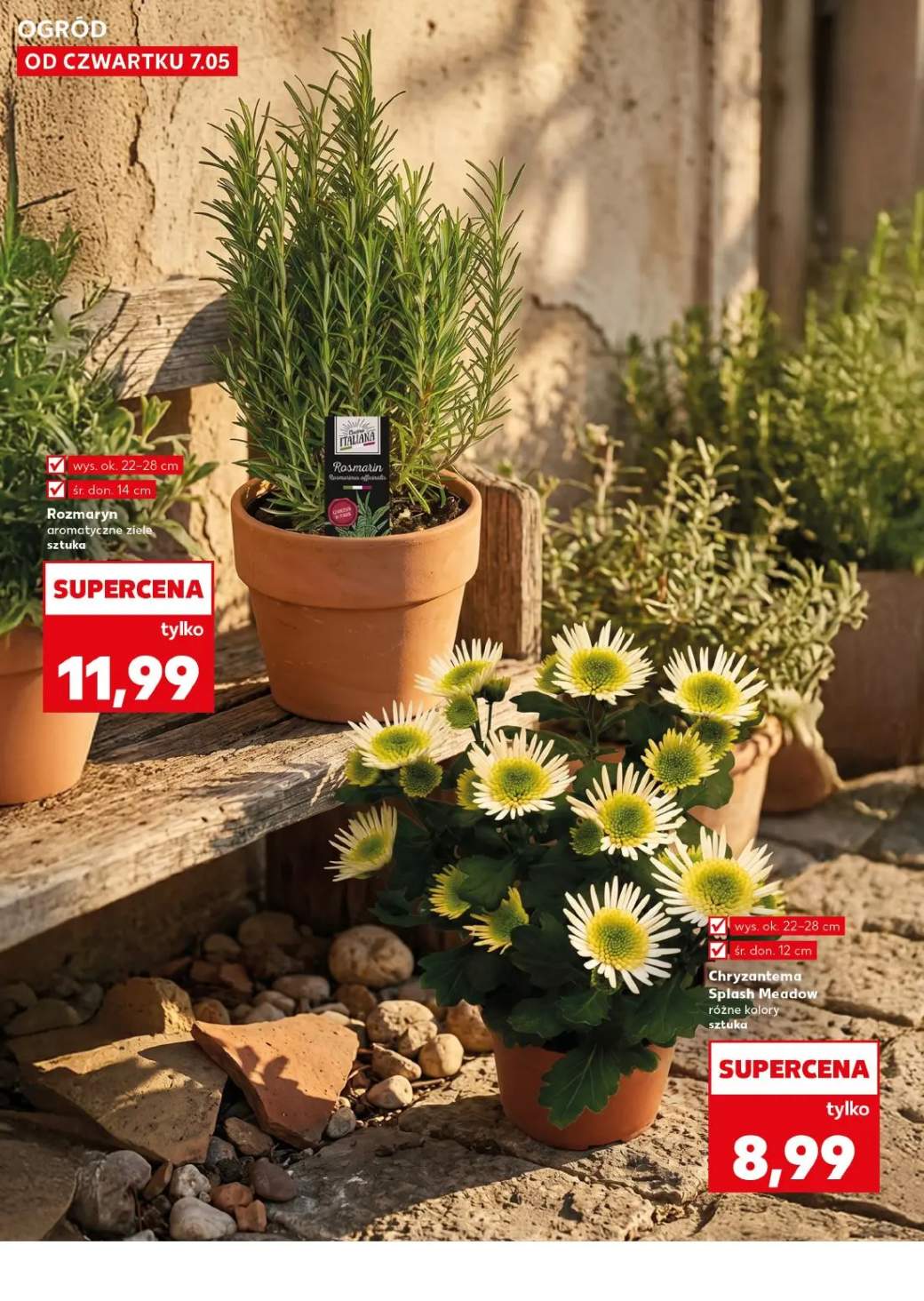 Gazetka – strona 10