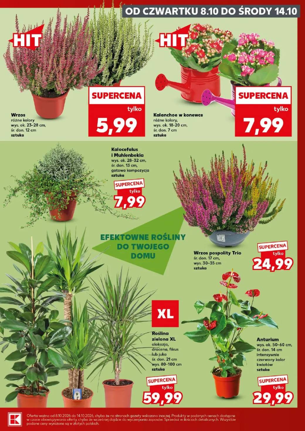 Gazetka – strona 7