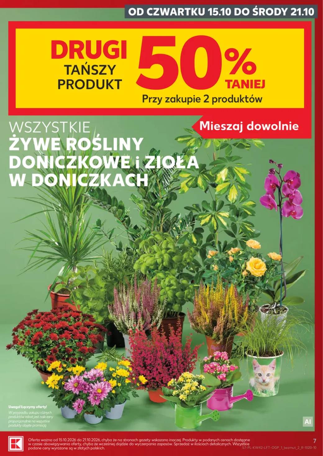 Gazetka – strona 7