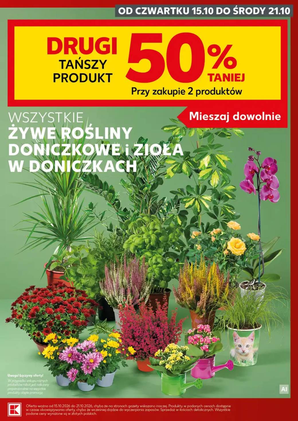 Gazetka – strona 7